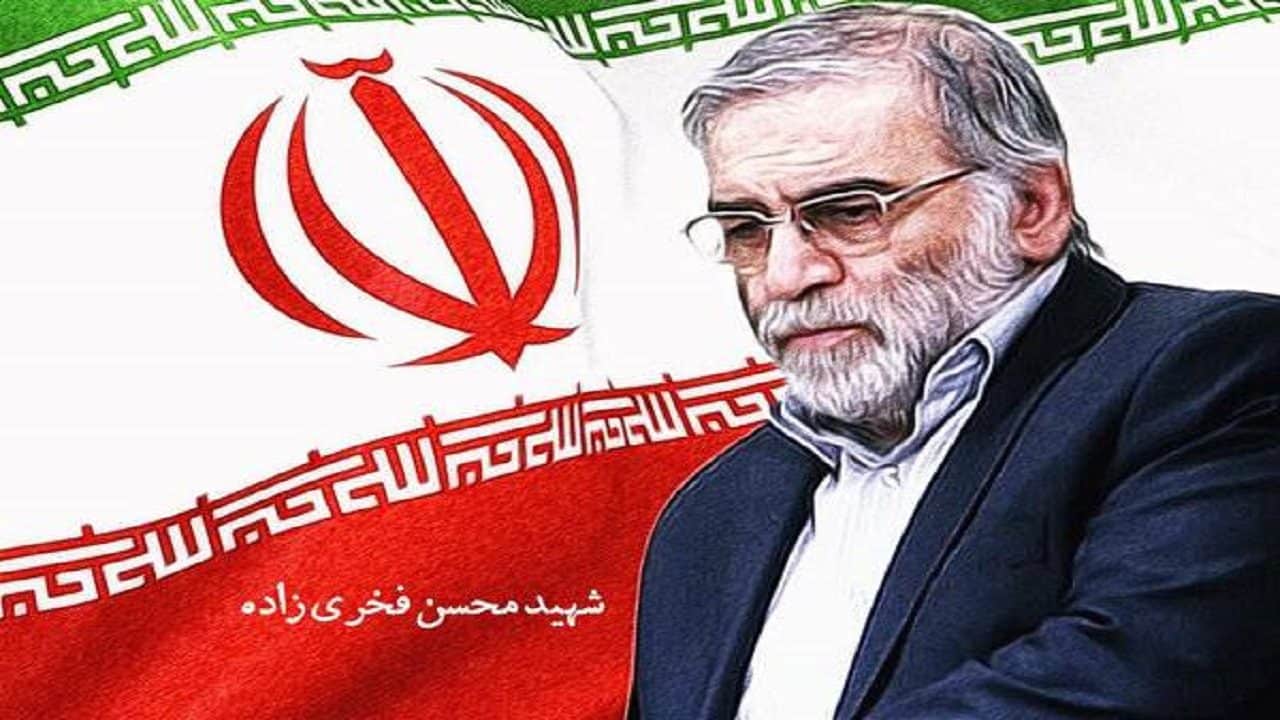 راهکار شهید فخری‌زاده برای زیارت حرم سیدالشهدا(ع) در زائر غریب کربلا