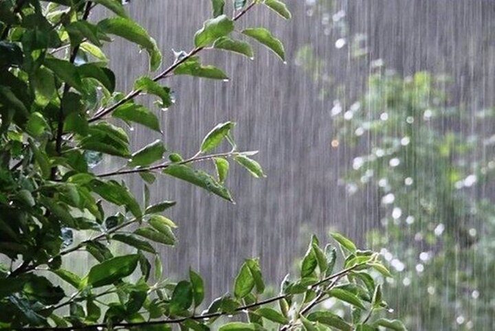 سازمان هواشناسی: بارش باران و کاهش دما در استان‌های شمالی طی روز جاری