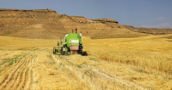 واردات بیش از ۳۵ میلیون دلار انواع بذر به کشور