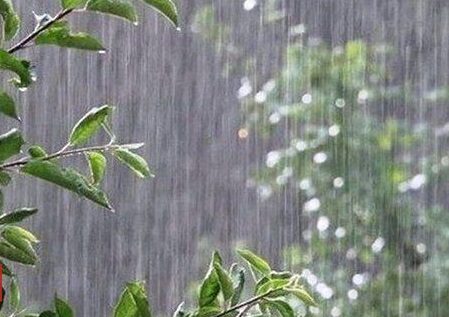 پیش‌بینی بارش‌های مناسب برای پاییز