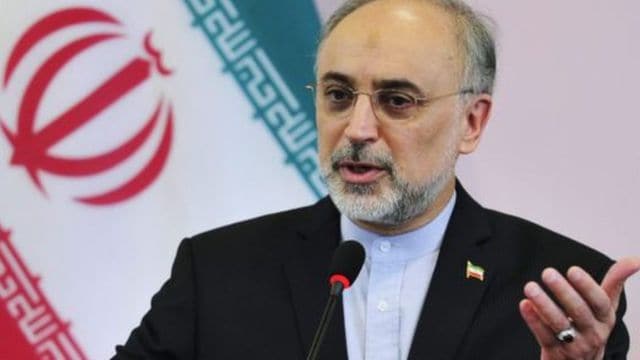 علی اکبر صالحی: سیدحسن نصرالله کمک ۲ میلیون دلاری را نپذیرفت