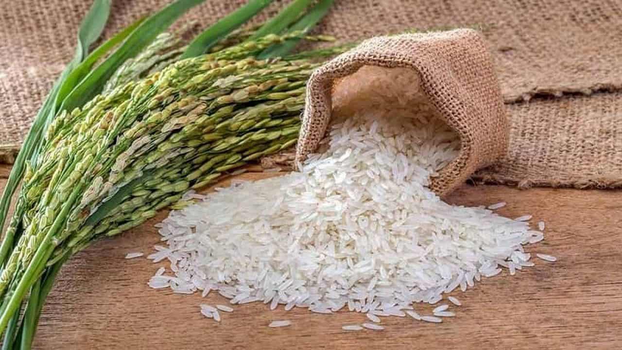 مهلت یک هفته‌ای برای اصلاح درخواست تخصیص ارز کالای برنج