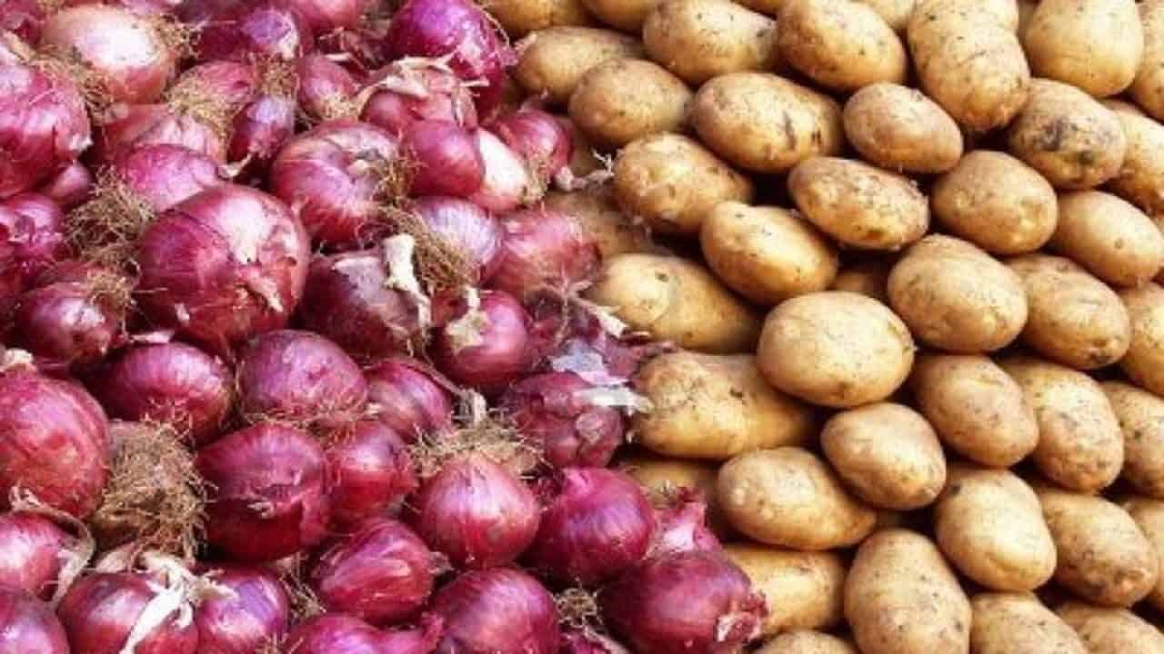 تولید پیاز و سیب زمینی مازاد بر نیاز کشور