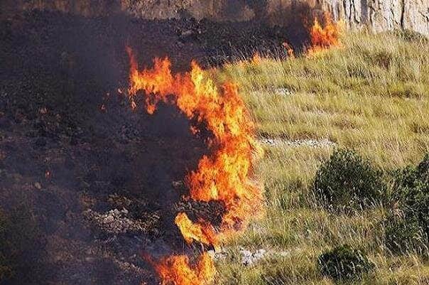 ۱۰۰ هکتار از نیزارهای تالاب گروس مهاباد طعمه حریق شد