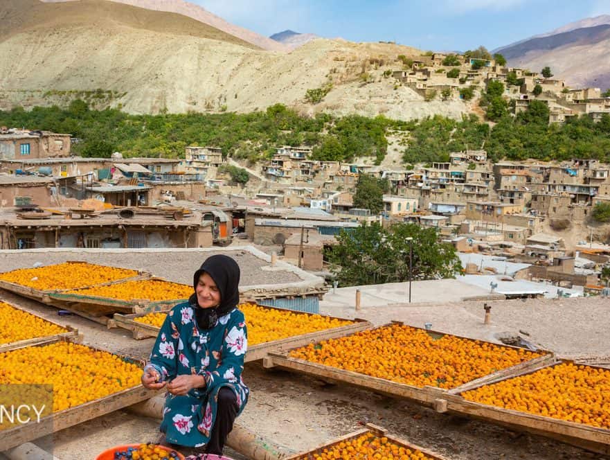 پایتخت آلوی ایران
