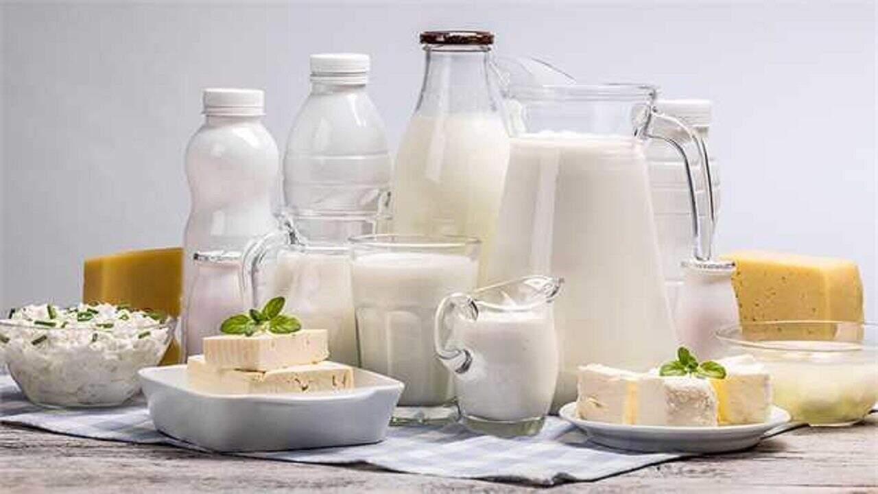 بیش از ۲۸۱ هزار تن محصولات لبنی صادر شد
