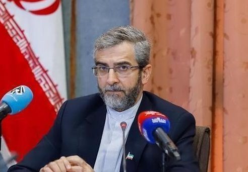 باقری: همه‌پرسی تنها راه حل دمکراتیک برای موضوع فلسطین است
