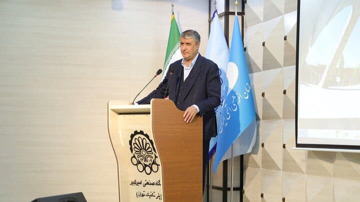 رییس سازمان انرژی اتمی: ملت ایران راهی را انتخاب کرده که به پیروزی ختم خواهد شد