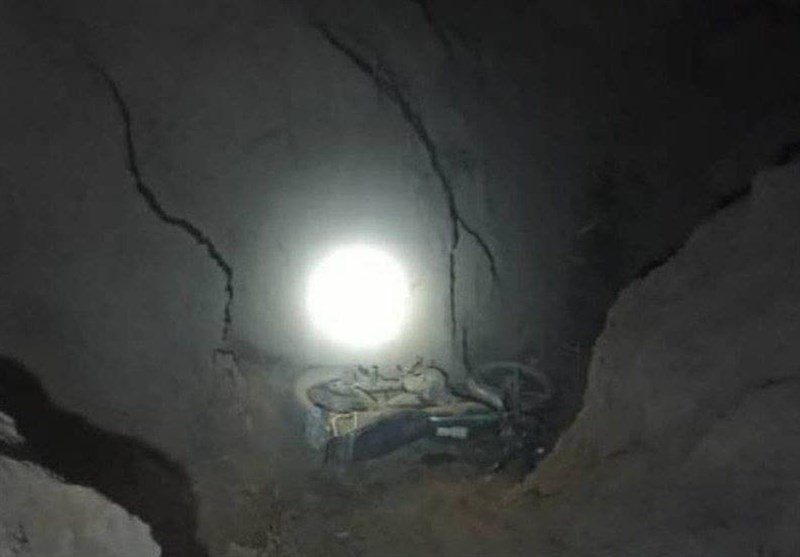 حمله کفتار، کشاورز زبرخانی را روانه بیمارستان کرد
