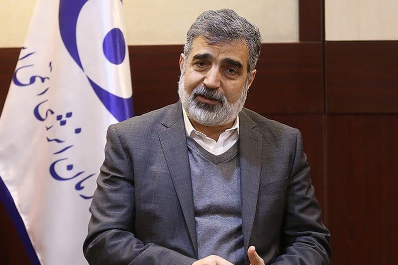 واکنش کمالوندی به اظهارات مدیر کل آژانس درباره برجام ۲