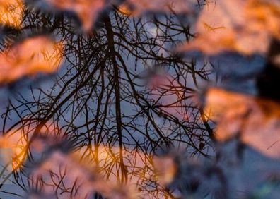 پیش بینی هواشناسی کشور ۲۳ و ۲۴ آذر ۱۴۰۲ / تداوم بارش‌ها در اکثر استان ها