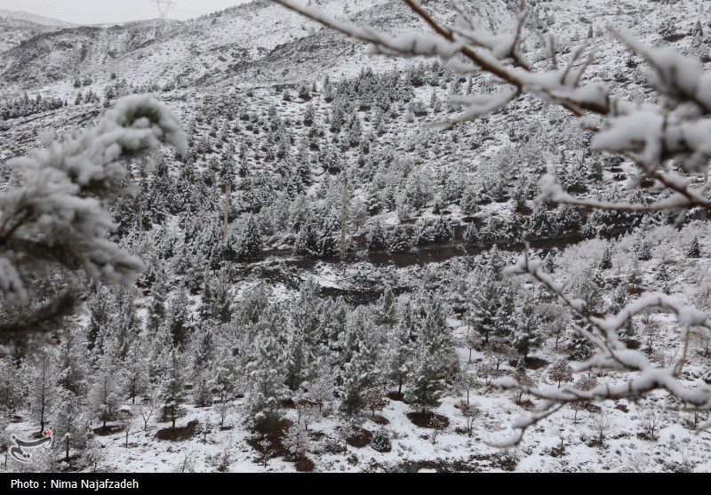 هواشناسی ایران ۱۴۰۲/۱۱/۰۶؛ بارش برف و باران در ۸ استان