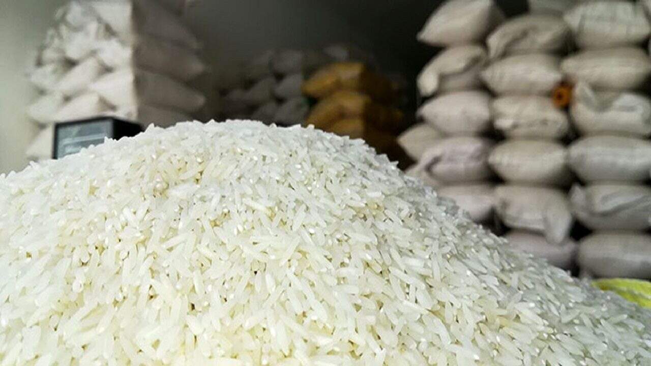دلالان با واردات بی رویه برنج آسیب جدی به تولید داخل وارد کردند