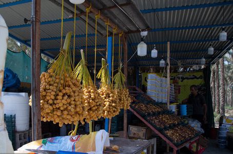 ۷۰ کشور جهان خریدار انواع و اقسام خرمای ایرانی