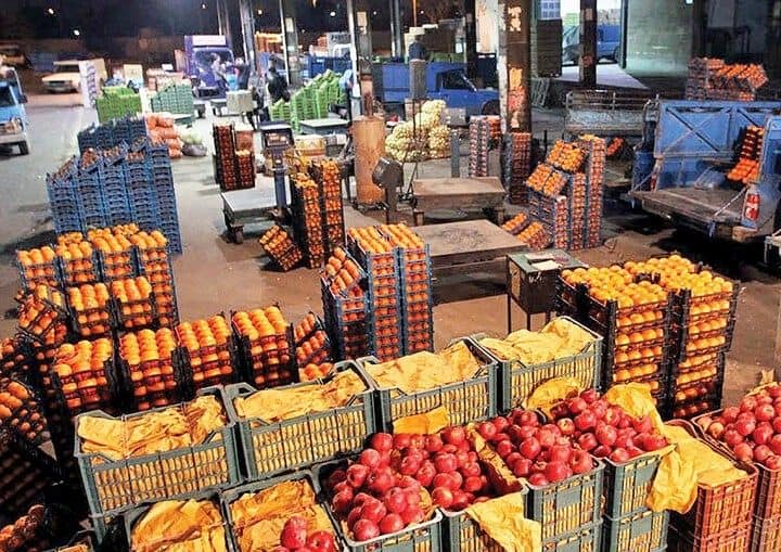 عرضه ۴۰ هزار تن میوه تنظیم بازاری شب عید