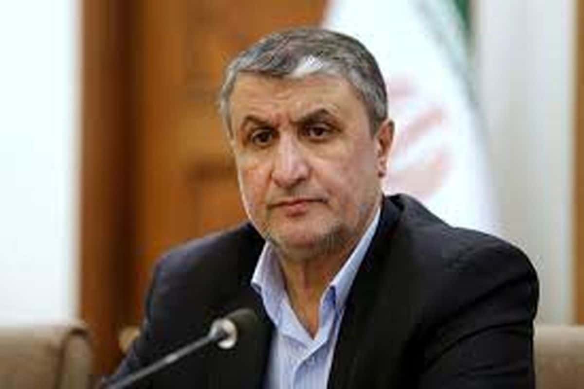 ساخت نیروگاه هسته‌ای سیریک شروع شد