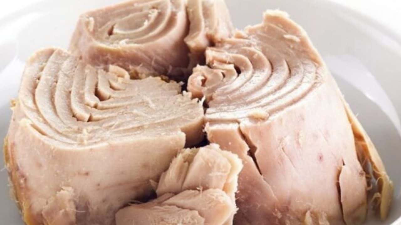 طرح تخفیف عرضه کنسرو ماهی تا عید فطر ادامه دارد