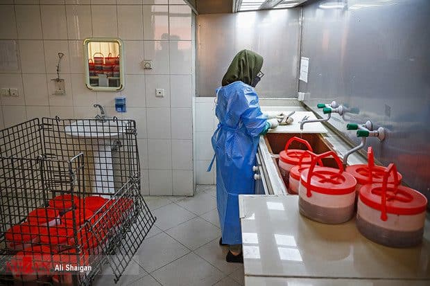 رئیس پزشکی قانونی: حقوق بازنشستگانِ پزشکی قانونی، کفاف زندگی‌شان را نمی‌دهد