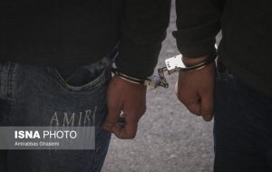 انهدام باند خواهر و برادری سرقت در تهران/ کشف ۴۰ پرونده دزدی