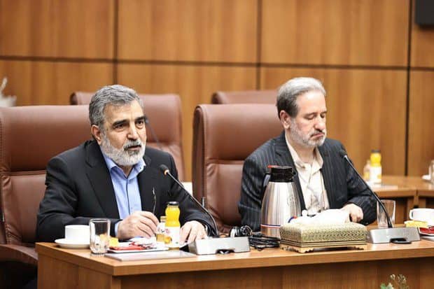 سخنگوی سازمان انرژی اتمی: غنی‌سازی تنها 5 درصد از کل فعالیت‌های هسته‌ای ایران است