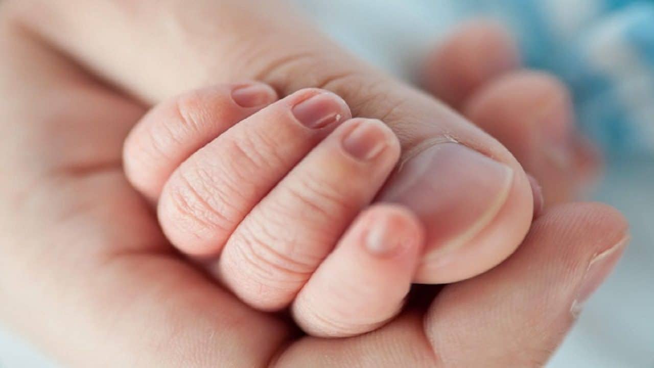 تولد یازدهمین فرزند پیرمرد مراغه‌ای