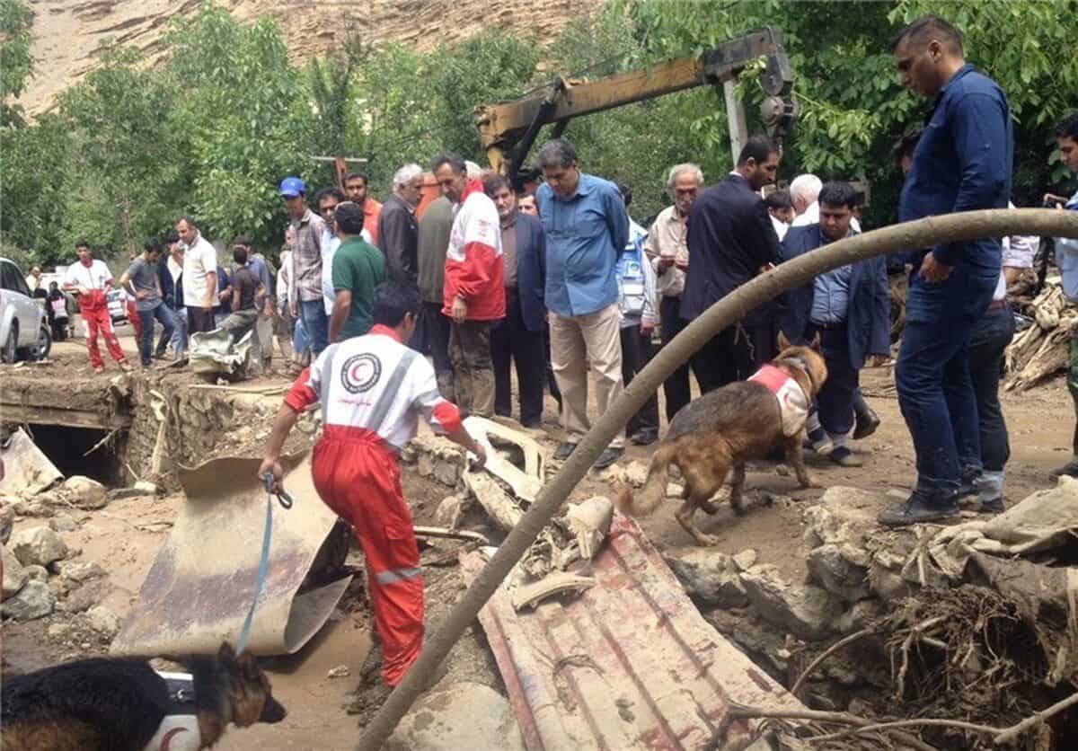 پیدا شدن ۲ پیکر مفقود شده سیل جاده چالوس