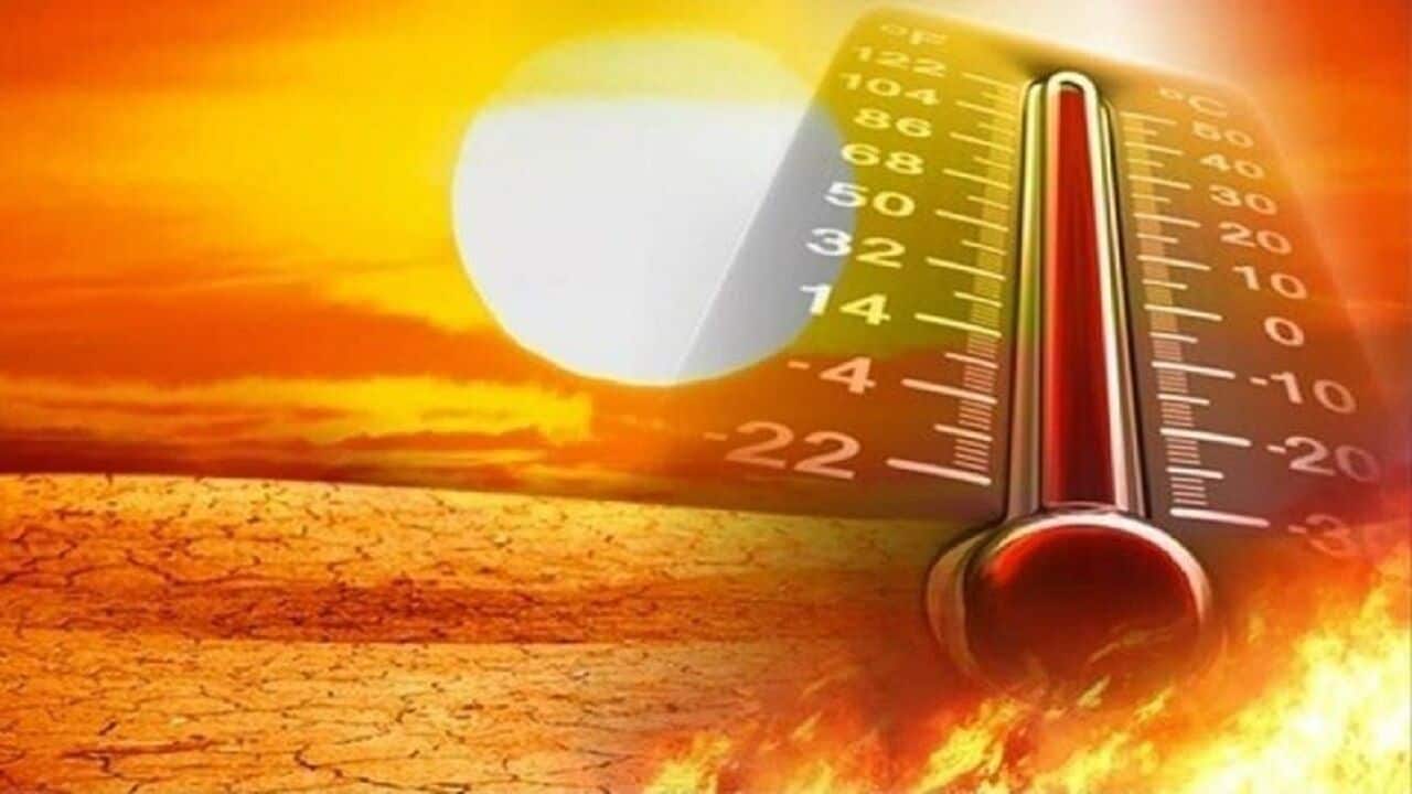 میانگین وزنی دما ١.٢ درجه افزایش یافت، نیاز مصرف ٩ درصد جهش کرد