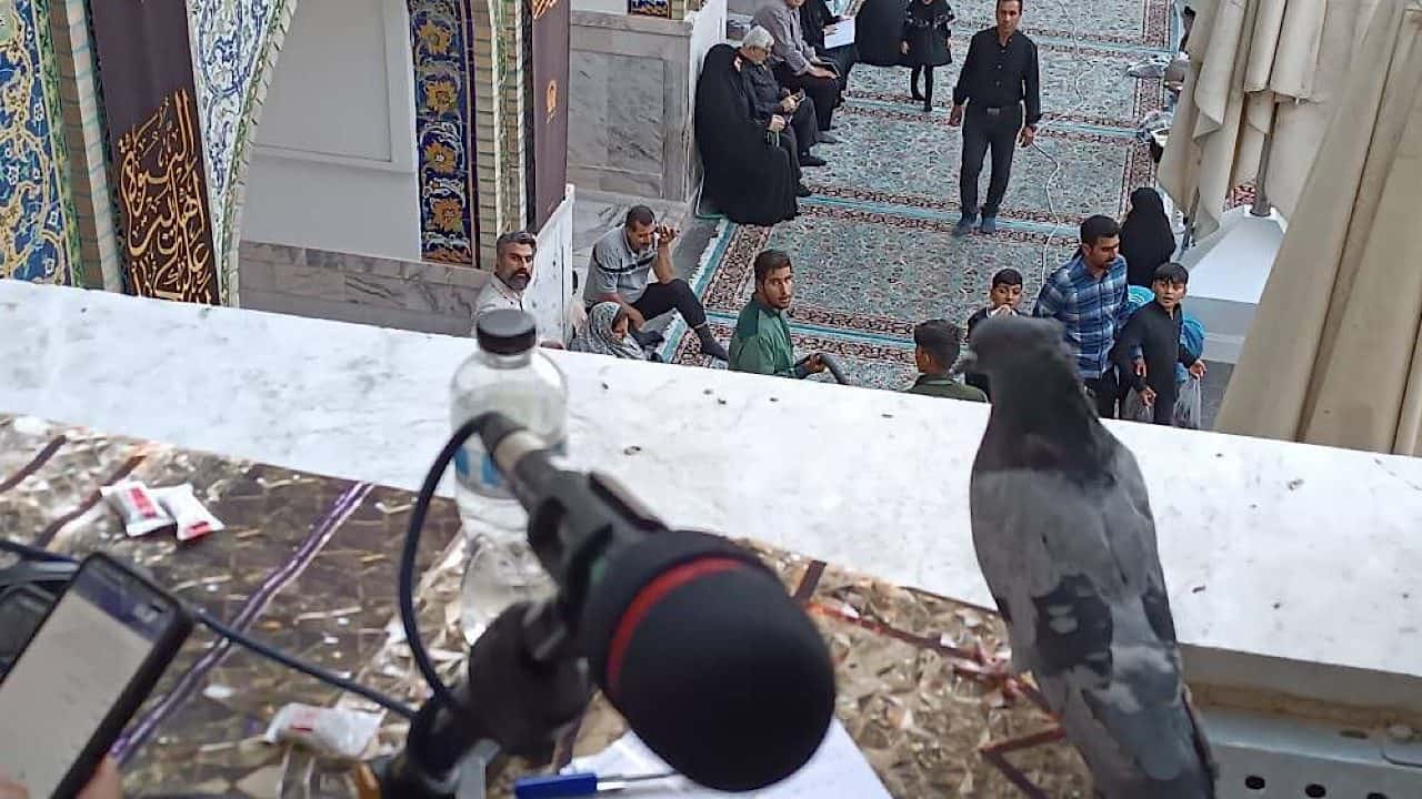 برنامه‌های رادیو در سالروز شهادت امام رضا (ع)