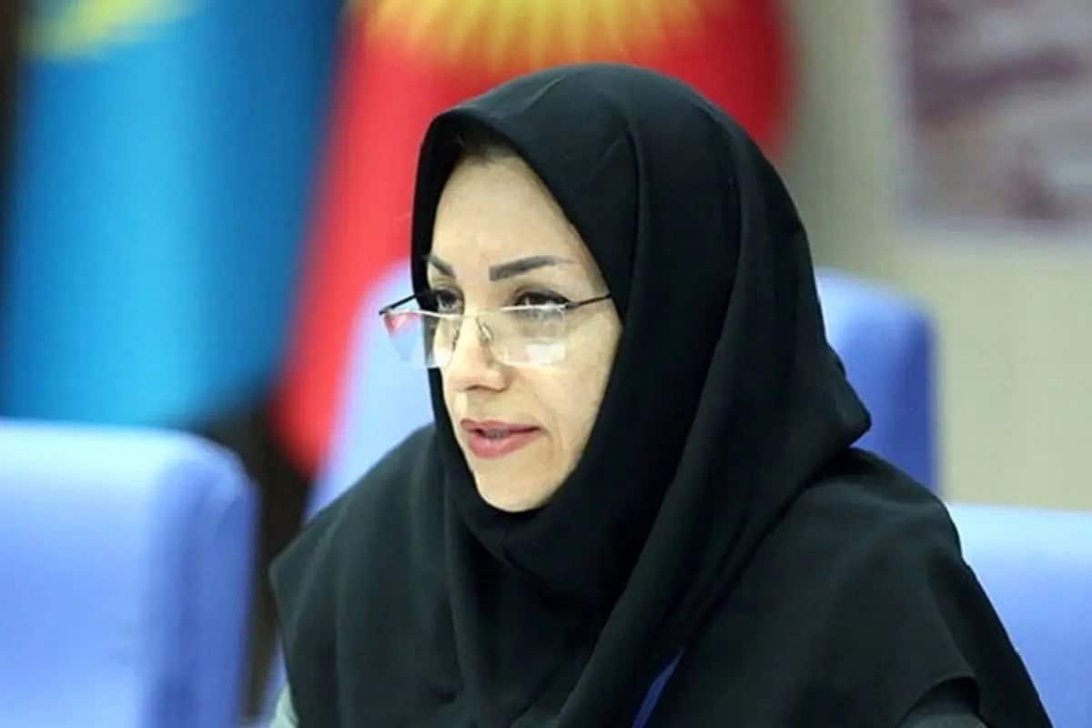 رئیس سازمان هواشناسی : شرایط جوی یکی از مهمترین عوامل بروز سانحه بالگرد رئیسی بود