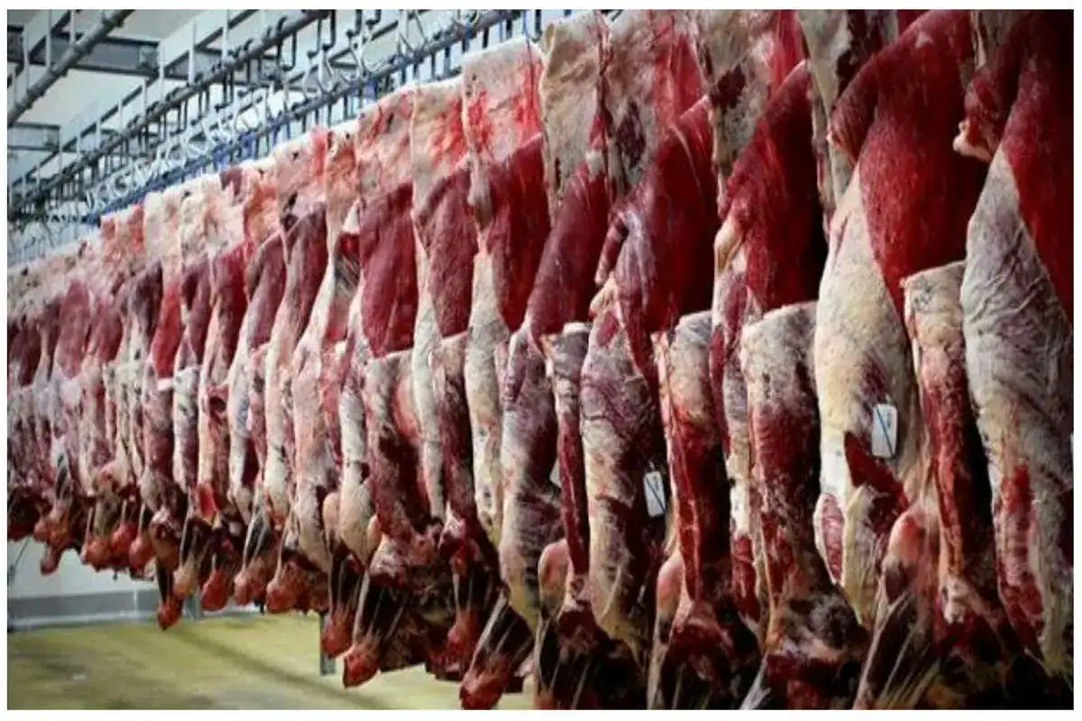 قیمت گوشت قرمز امروز ۳۰ مهر ۱۴۰۳