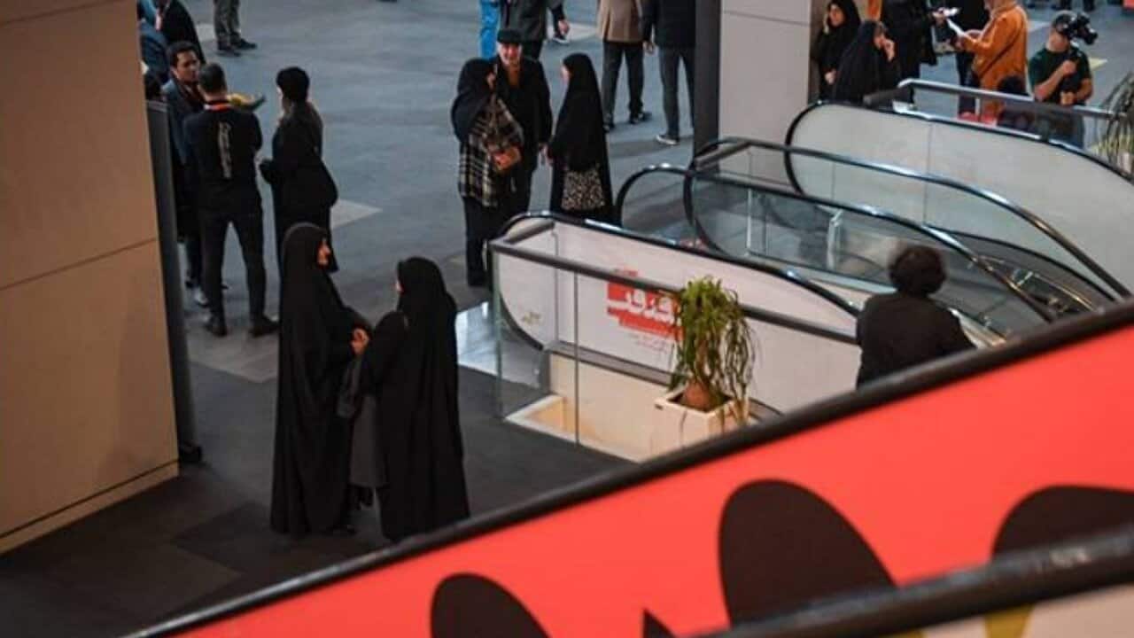 بزرگداشت مصطفی دالایی در روز چهارم «سینماحقیقت»