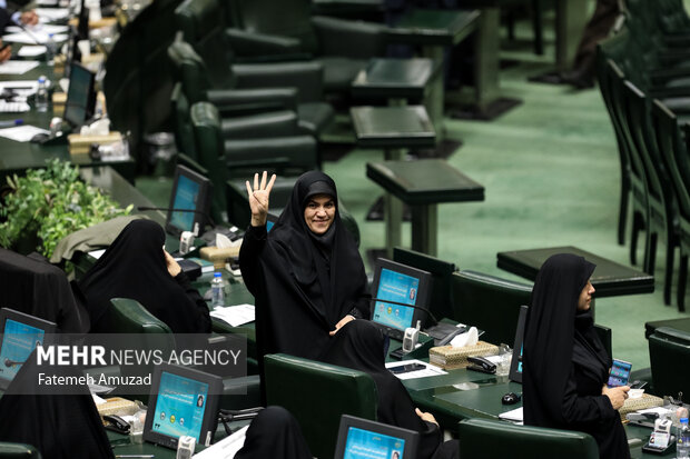 مجوز مجلس به دولت برای کاهش حقوق گمرکی واردات دارو و کالاهای اساسی