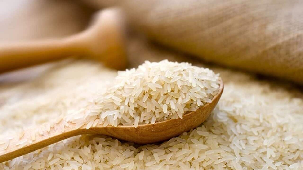 بحران قیمت برنج: ناهماهنگی در تولید، واردات و تنظیم بازار؛ چالش مصرف‌کنندگان در آستانه نوروز و رمضان