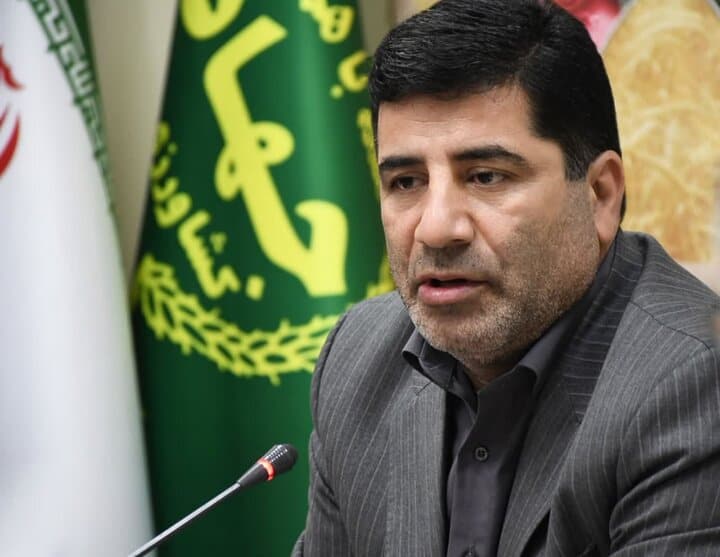 حل مشکل انباشت دام با خرید حمایتی؛ ارز واردات گوشت تغییری نمی‌کند