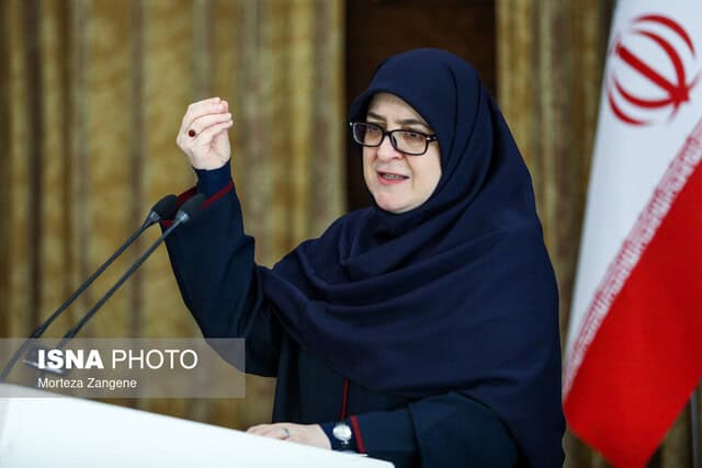 قیمت ارز به تولید نفت ربطی ندارد/با پیوستن به FATF، دست سرمایه‌گذاران را باز می‌کنیم