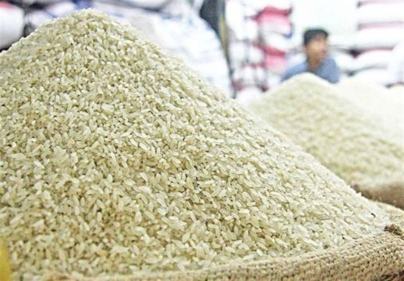 آغاز طرح جهش تولید برنج در کشور