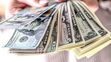 ثبات نسبی دلار در کانال هشتم؛ بازار ارز به کدام سمت می‌رود؟