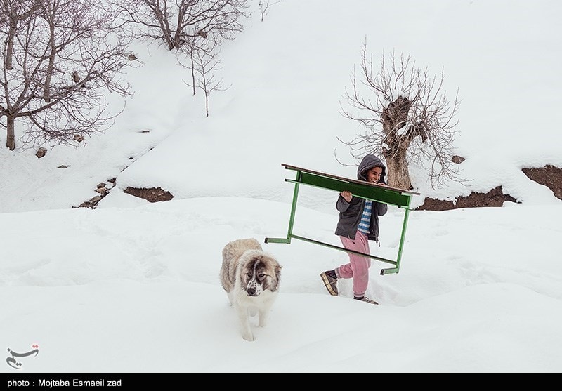 هواشناسی ایران۱۴۰۳/۱۲/۱۸؛بارش برف و باران در ۲۹ استان