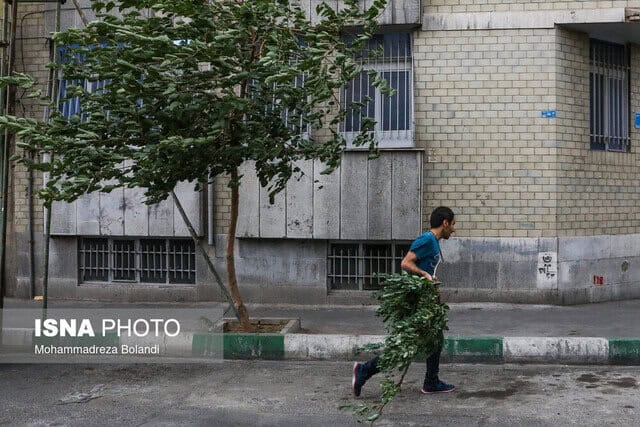 هشدار وزش باد شدید در تهران