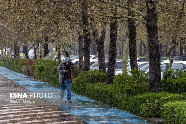 بارش برف در شمال شرق کشور/ افزایش دمای هوا از پنج شنبه