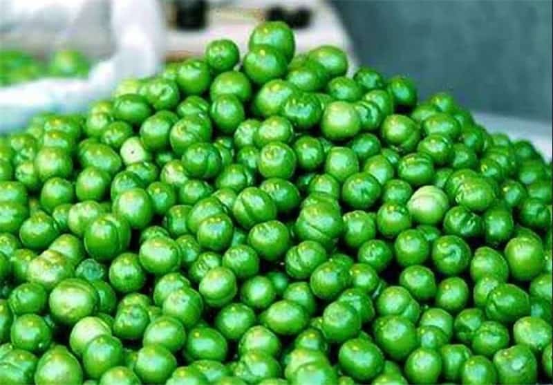 نرخ گوجه سبز از ۷۰۰ هزار تا ۲ میلیون تومان