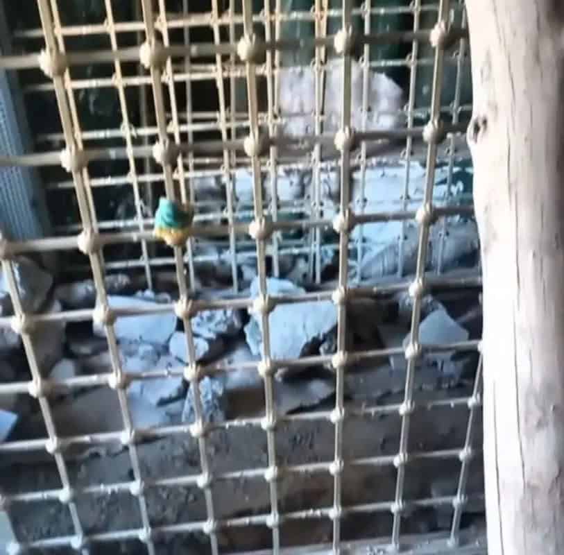 هجوم حفاران غیرمجاز به امامزاده ها در تعطیلات نوروز/ گنج‌یاب‌ها امامزاده‌ عرب را گودبرداری کردند