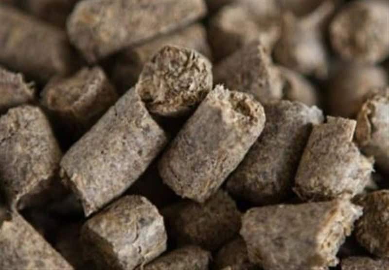 آزادسازی صادرات تفاله چغندر و نیشکر به درخواست وزارت جهاد کشاورزی