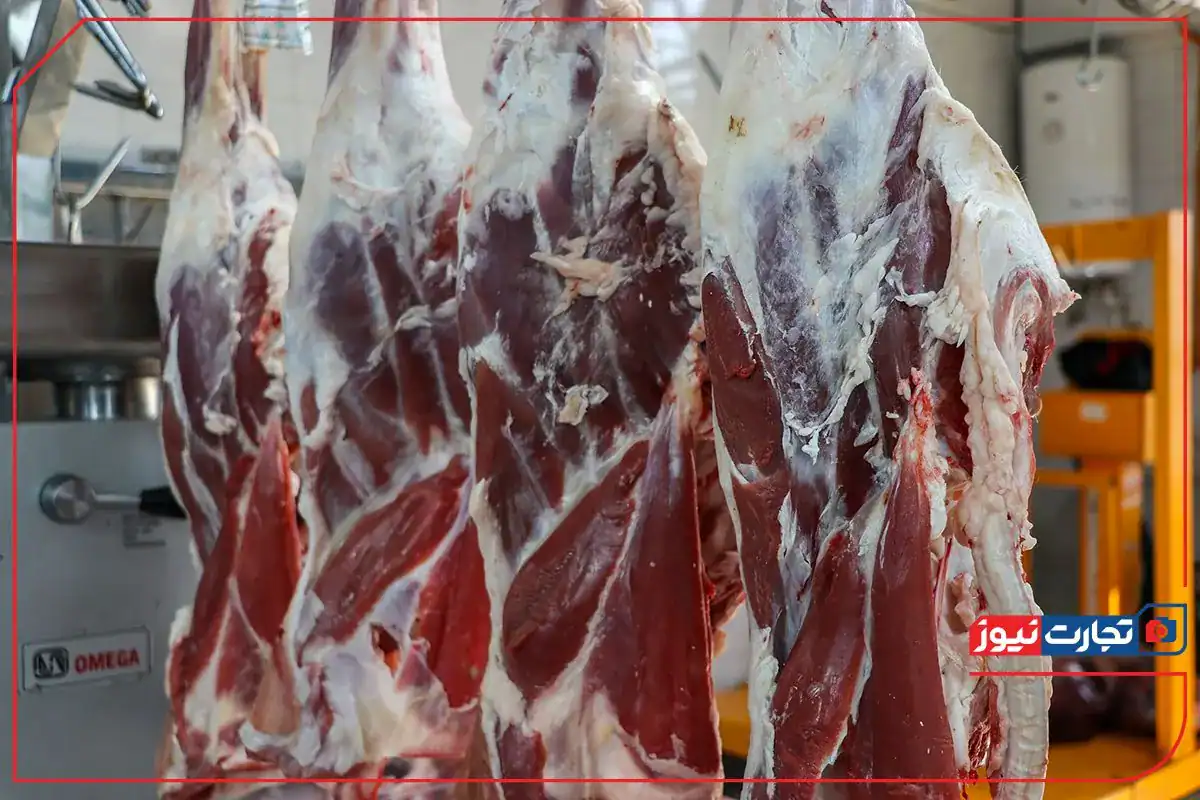تداوم ثبات نسبی در بازار گوشت قرمز؛ ماهیچه گوسفندی تا ۱.۲ میلیون تومان