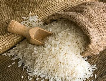 واردات برنج در ایران آزاد شد/ قیمت برنج داخلی کاهش می‌یابد؟