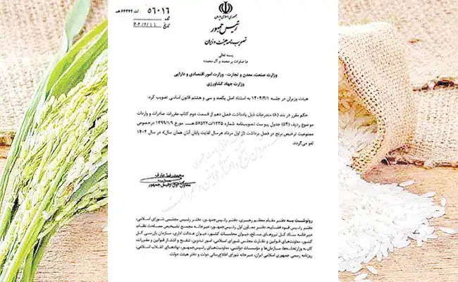آشفته‌ بازار برنج؛ چرا قیمت‌ها سر به فلک کشید؟ تصمیم‌های عجیب وزارت کشاورزی زیر ذره‌بین