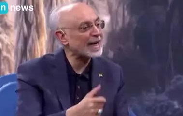 صالحی: بدون برجام ذخایر اورانیوم ایران به پایان می‌رسید