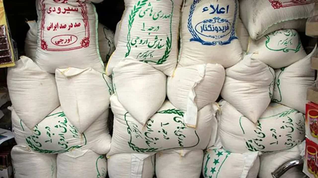 قیمت برنج ایرانی به بالای ۴۰۰ هزار تومان رسید؛ هشدار درباره سقوط امنیت غذایی و جولان مافیای برنج