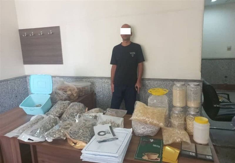 دستگیری فروشنده قارچ‌ های جادویی در اینستاگرام؛ کشف ۱۷ کیلوگرم مواد توهم‌زا در تهران