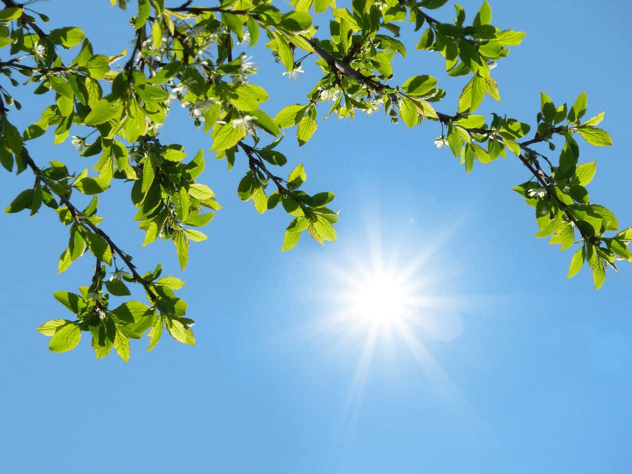 رگبار باران در مناطق جنوبی کشور